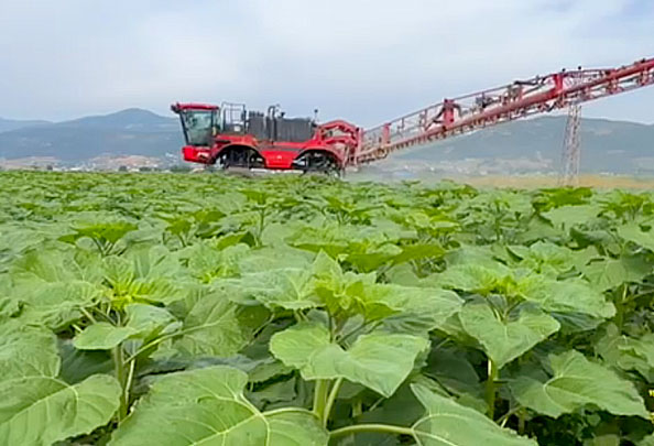 Bugün bu topraklarımız bolluk üretiyor. Yarın ise gelecek nesiller için sürdürülebilir bir miras taşıyor. Doğaya duyulan saygı ve üretime olan bağlılık, atılan her adımı şekillendiriyor.
