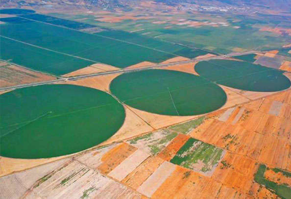 Bu dönüşümle kazanılan topraklar, bugün verimliliği sürdürülebilirliği ve uzun vadeli değeri temsil ediyor. Organik tarım için tasarlanan bu alanlar, ulusal tarımın geleceğine doğrudan katkı sağlıyor.